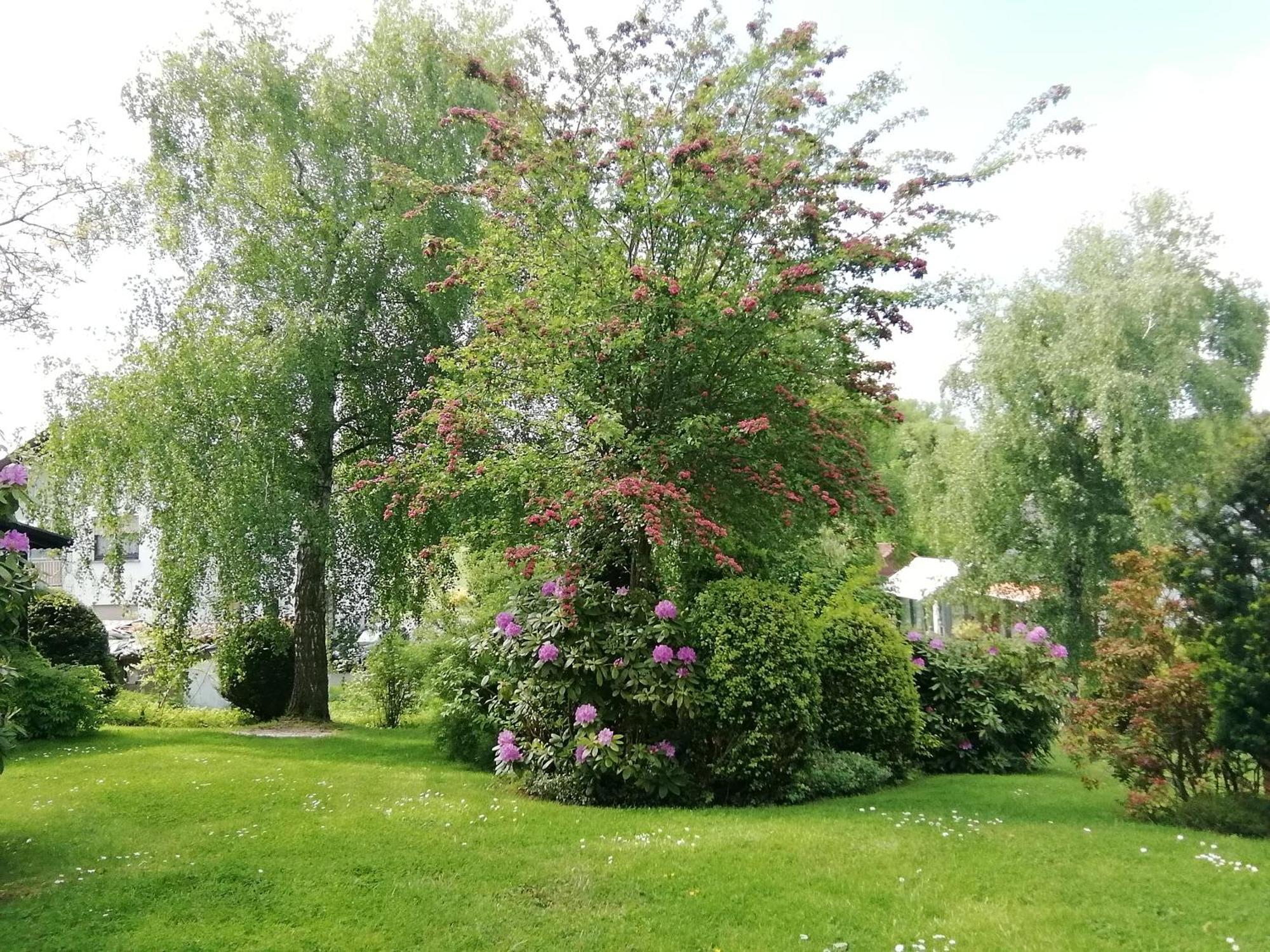 Extertal Ferienwohnung Christel מראה חיצוני תמונה